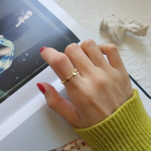 Double Disc Chain Ring